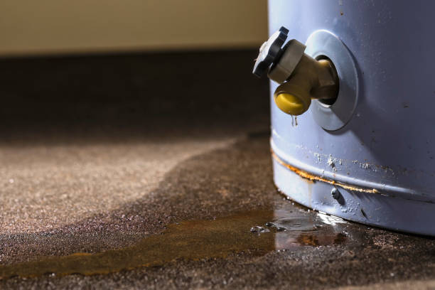 Best Flood restoration services  in Island Walk, FL