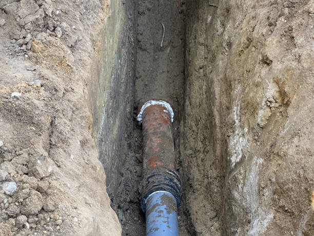 Best Sewage cleanup and water damage restoration  in Island Walk, FL