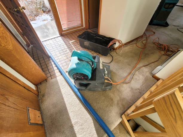 Best Ceiling water damage repair  in Island Walk, FL