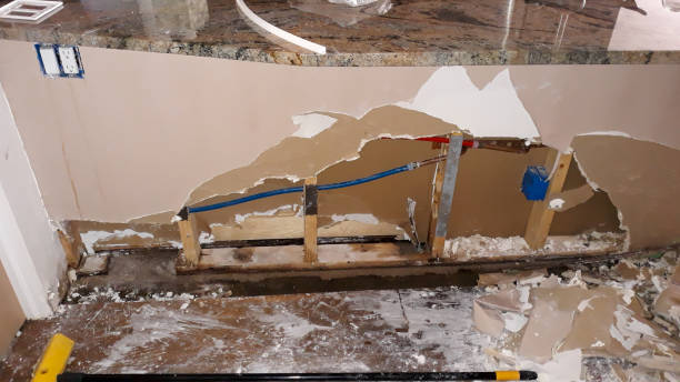 Best Flood damage cleanup  in Island Walk, FL