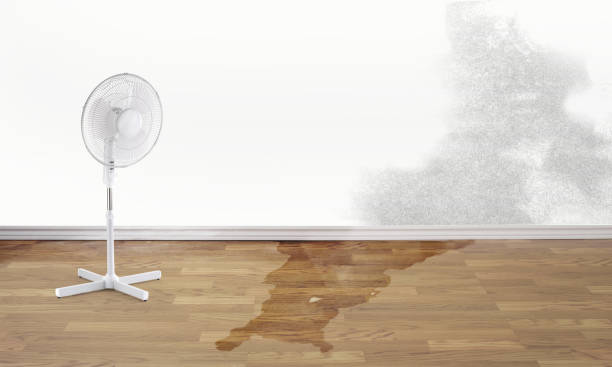 Best Commercial water damage restoration  in Island Walk, FL