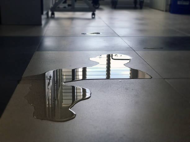 24/7 water damage repair in Island Walk, FL