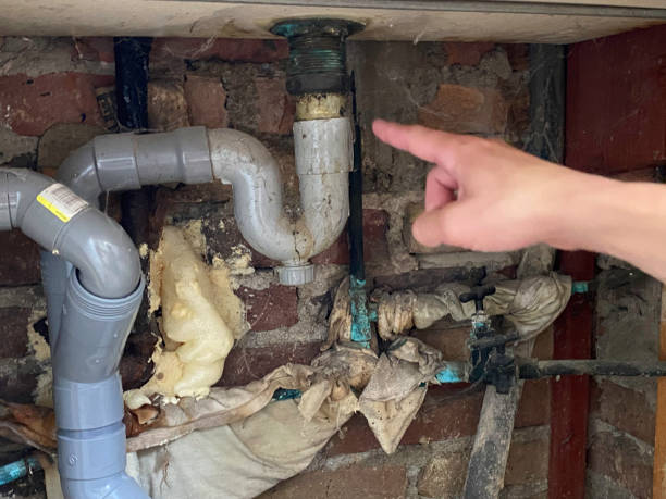 Best Water damage restoration experts  in Island Walk, FL