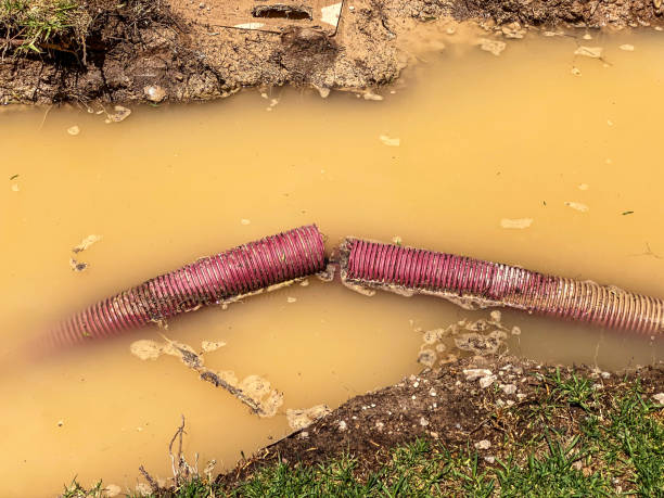 Best 24/7 water damage repair  in Island Walk, FL